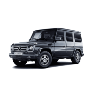 Выкуп дверей Mercedes Mercedes G-klasse